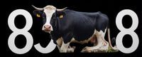 cow88